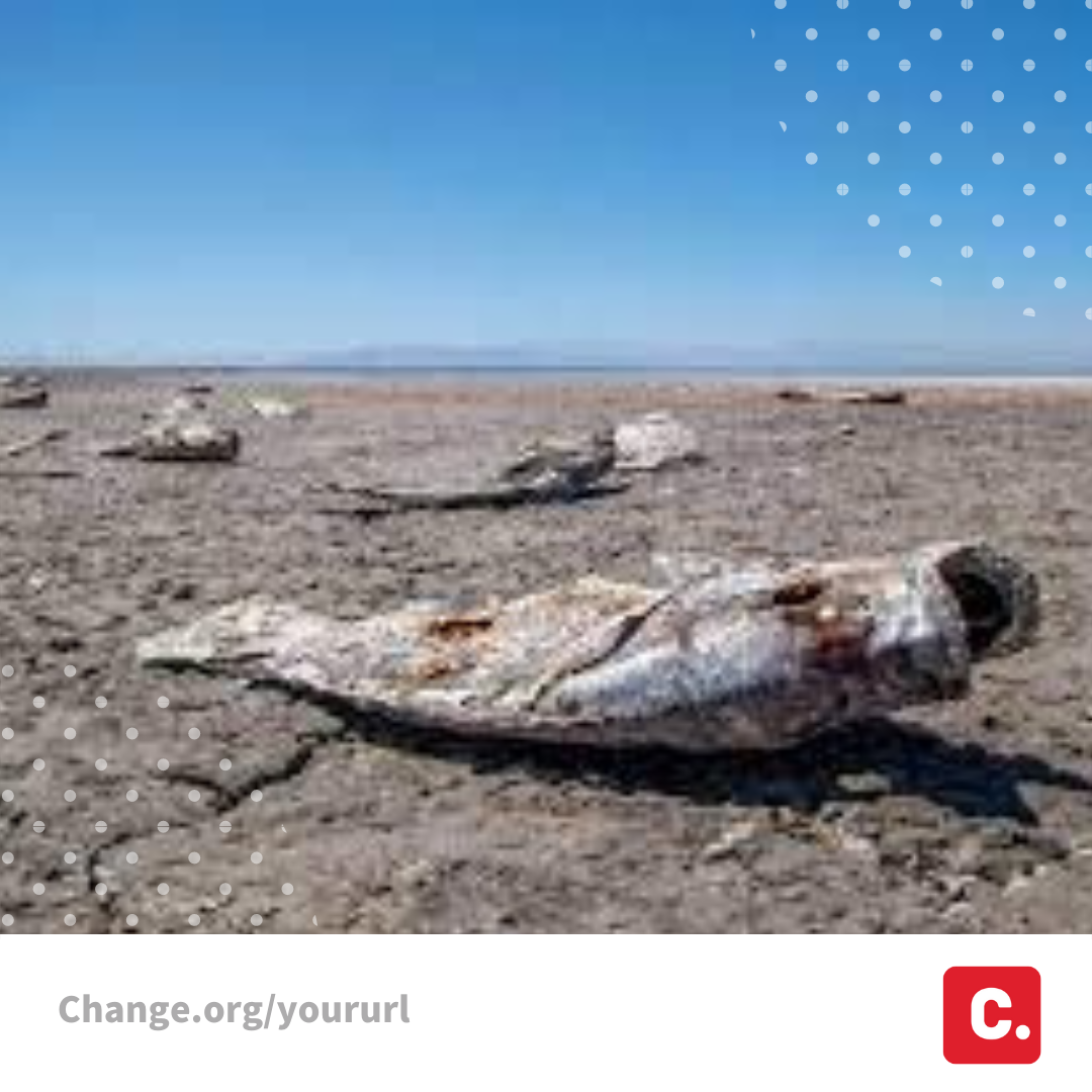 Change.org